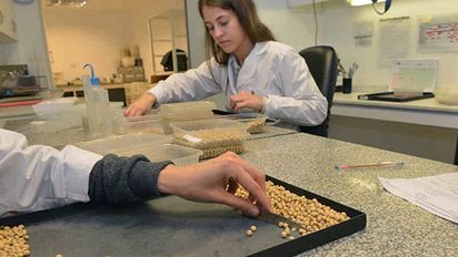 Curso corto de Perito Clasificador de Cereales, Oleaginosos y Legumbres
