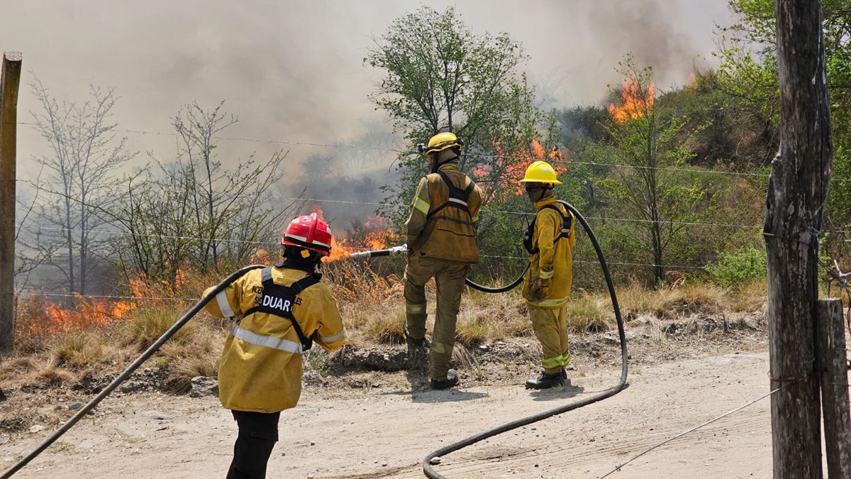 Contienen los incendios forestales en la provincia