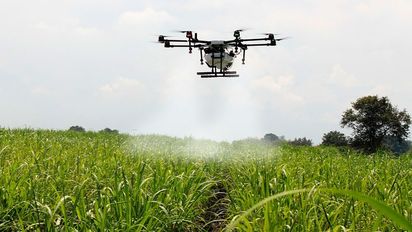 En 4 años, creció un 94% la cantidad de startups agtech: Río Cuarto y Capital, los que más empujan