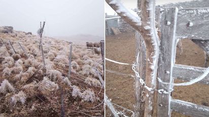 Heladas y garrotillo tiñen de blanco las sierras de los Comechingones