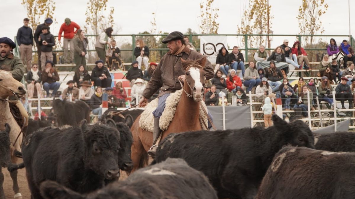 El cierre de la Exposición de Otoño de la Sociedad Rural de Río Cuarto. Foto: Andrés Oviedo