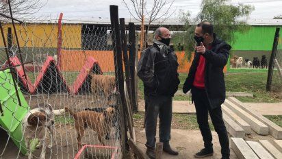 El CAM concretó casi 200 adopciones y 1.600 castraciones