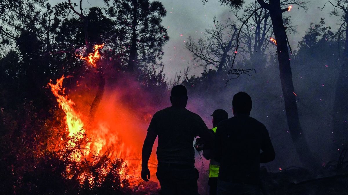 Argelia: Cerca de 100 incendios se declararon en más de 15provincias desde el domingo. Las más afectadas fueron Bugía (este)