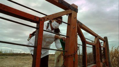 La transformación de pueblos de la región ante la llegada del coronavirus
