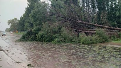 Tras el temporal de intensas lluvias, los municipios realizan reparaciones