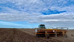 la siembra directa perdio el 13% del area agricola en los ultimos 8 anos