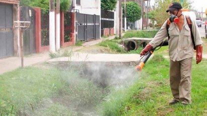 Plaga de mosquitos acecha a La Carlota y Canals: intensifican las pulverizaciones