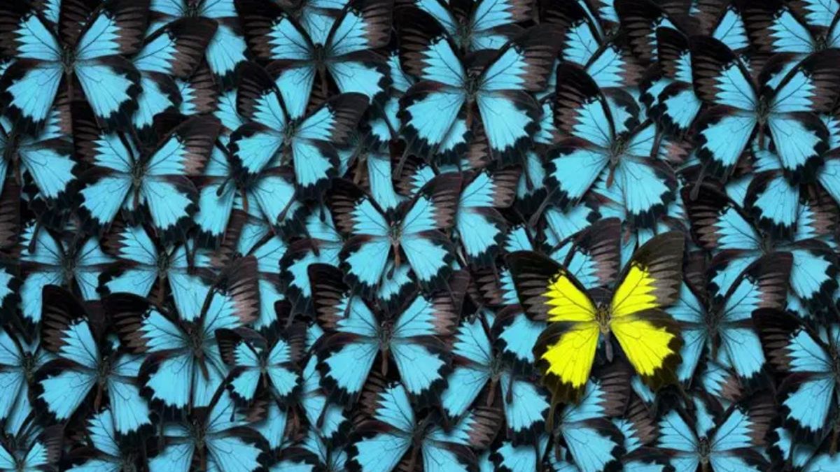 Comprender cuál de los 12 arquetipos domina nuestra personalidad puede ayudarnos a comprender lo que es realmente importante para nosotros.