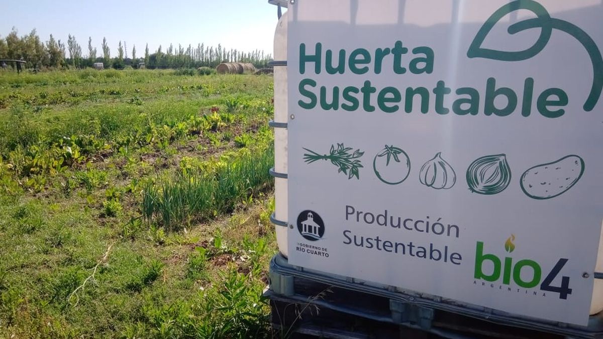 Siete familias forman parte en la actualidad de la iniciativa.