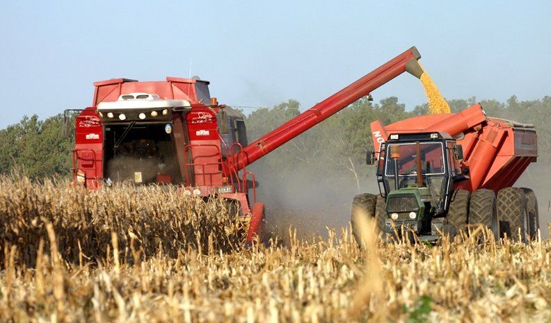 Este año, la producción de granos de Córdoba duplicará la de 2018