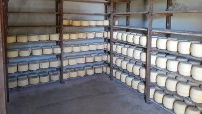 Entró en vigencia la norma para establecimientos lácteos de elaboración artesanal
