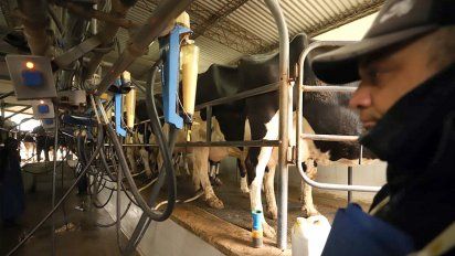 Leche, maní y otras alimenticias, con mejoras en la producción