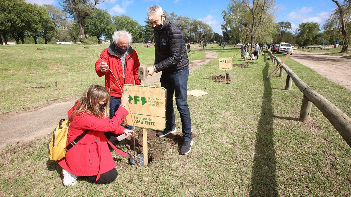 Unos 250 voluntarios participaron de la plantación de árboles.