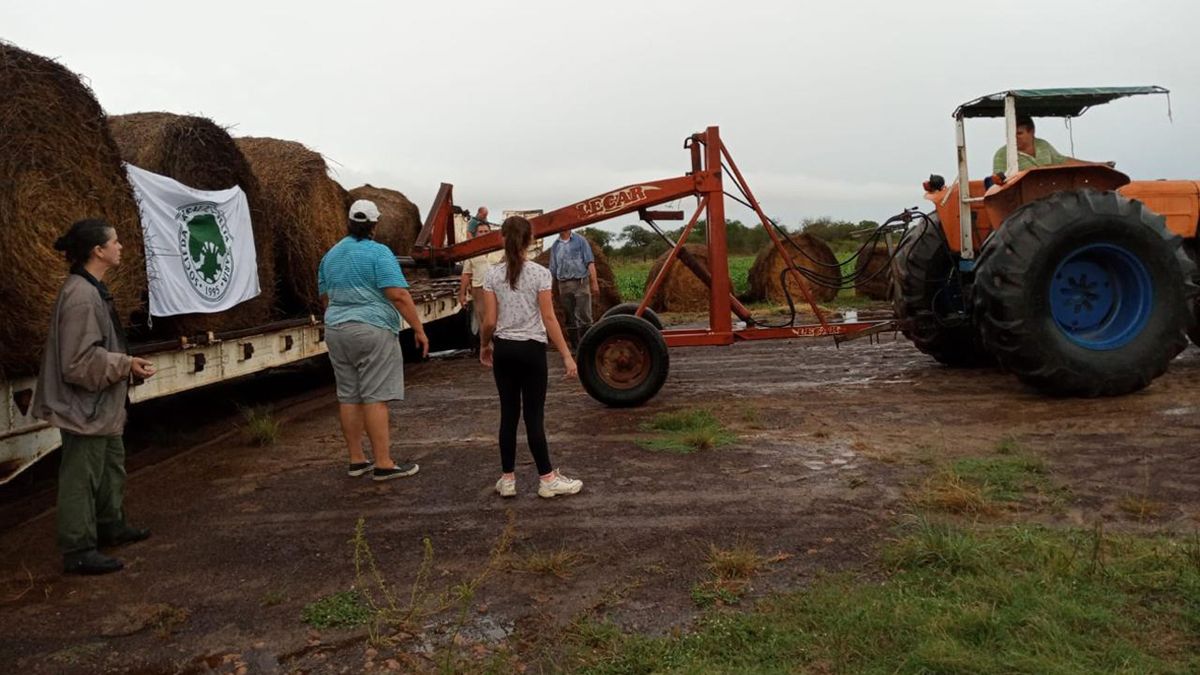Los rollos donados por productores de San Basilio y Adelia María  fueron llevados semanas atrás a Corrientes.