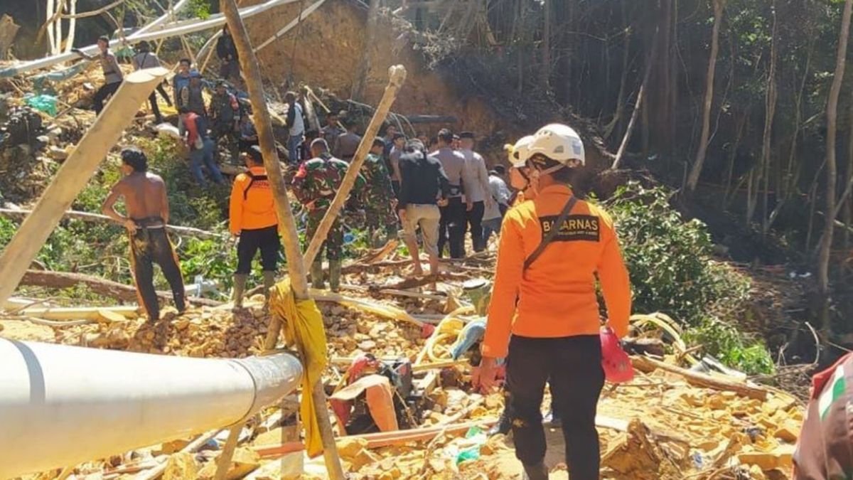 Un deslizamiento detierras en una mina ilegal de oro en Indonesia provocó la muerte de sietepersonas