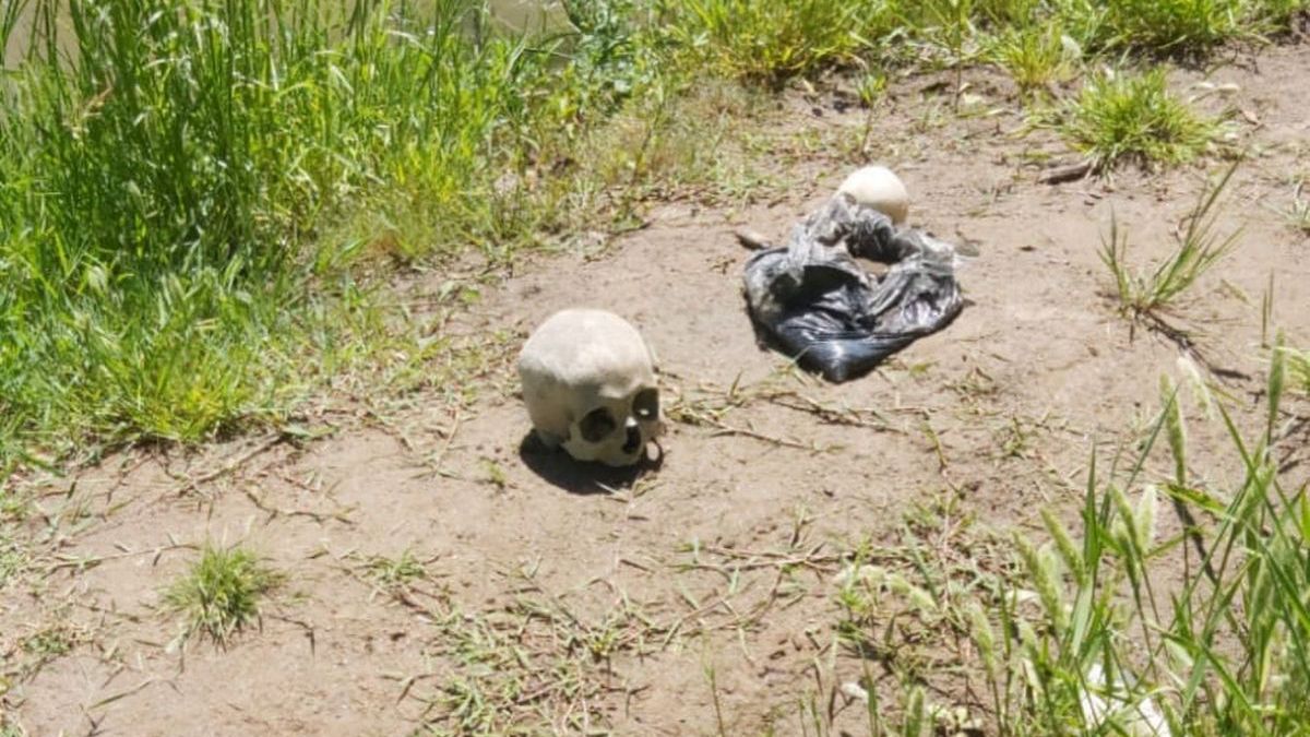 Guardacostas hallaron un cráneo humano a la vera del Ctalmochita