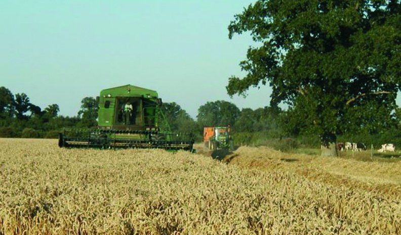 Alrededor de 700 productores tiene el Departamento San Martín y entre un 25 y 30 por ciento resta responder el censo agropecuario.