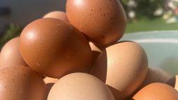 El consumo de huevo se sigue ampliando en el país, un alimento proteico de muy alta calidad.
