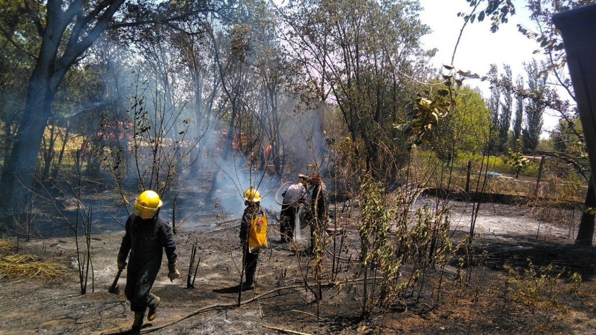 Bomberos Voluntarios de Villa María vivieron una ardua semana: todos los días combatieron incendios debido a la ola de calor.