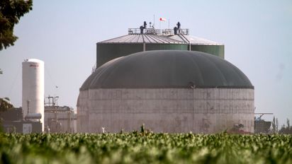 Las bioenergías podrían colaborar ante los problemas de la red eléctrica