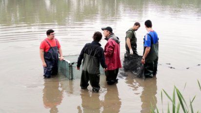 Investigación de la UNRC: hay 350 especies de flora y fauna en el lago Villa Dalcar