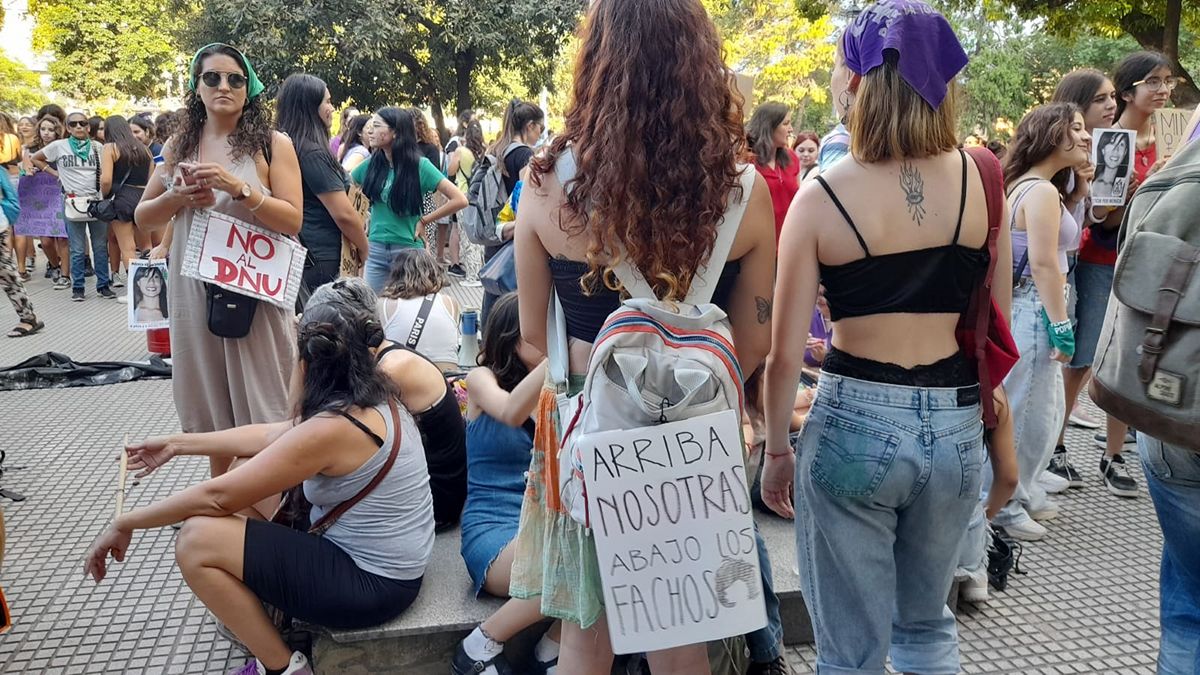 Fotos: Estela Zogbe