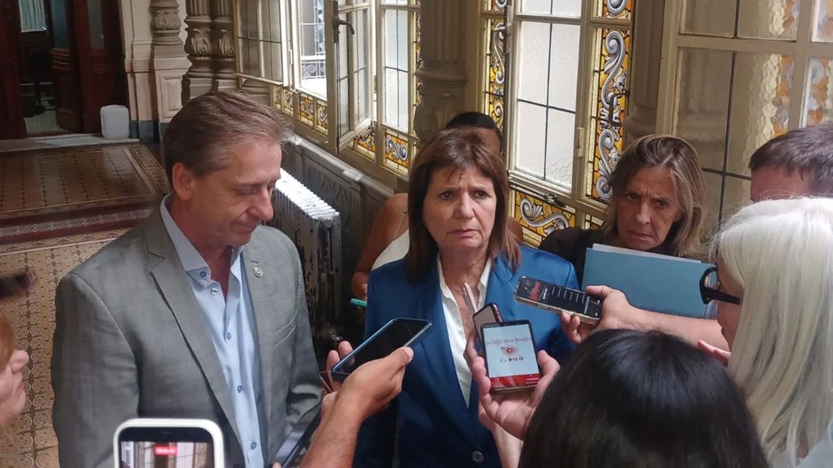 Bullrich confirmó la sesión del 11 de febrero para la Reforma laboral ...
