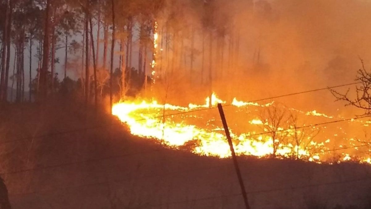 Las llamas se propagaron con facilidad