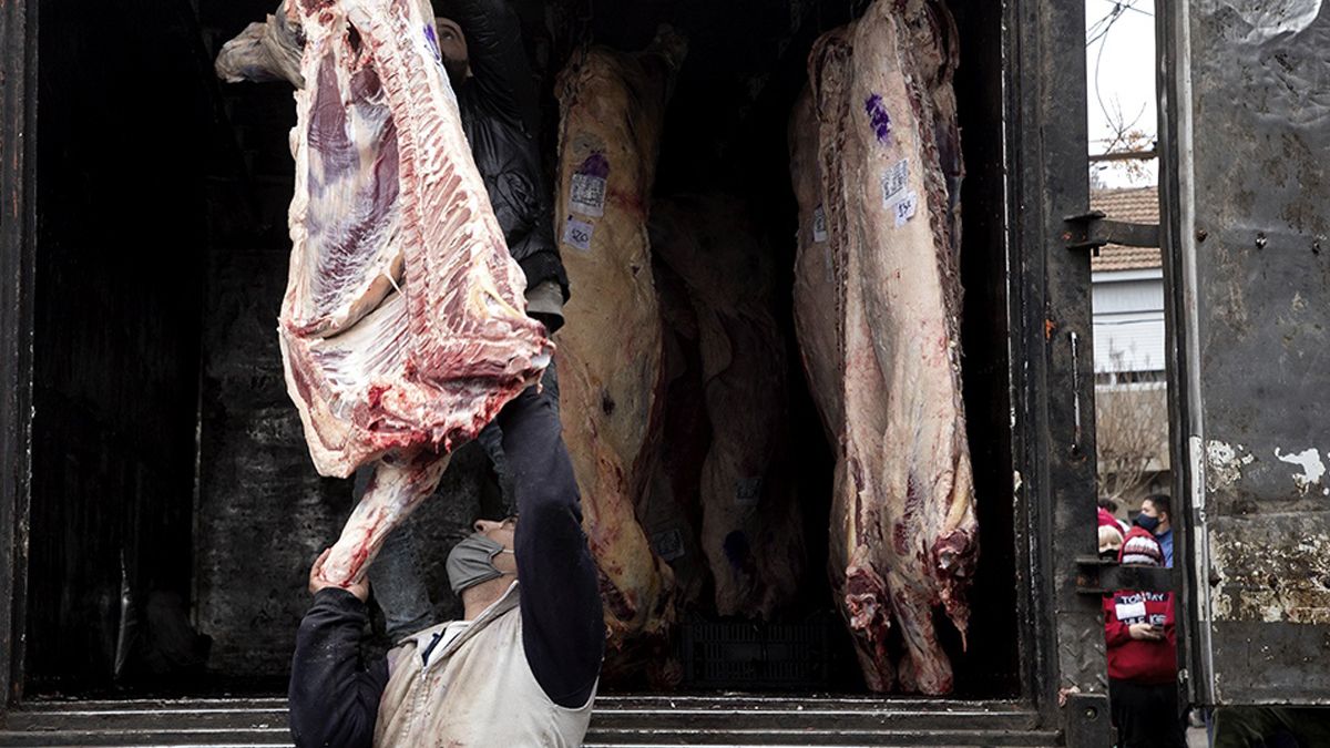 La comercialización de carne seguiría siendo por media res