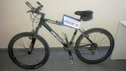 Deheza: con un perro con problemas para caminar, robaron una bici y los descubrieron