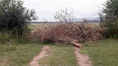 Pescadores de Elena denuncian que cerraron los accesos al río Quillinzo