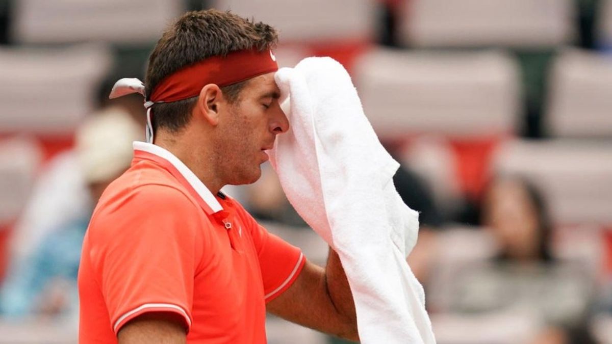 Del Potro participará del US Open