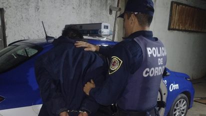 Saltó una tapia, ingresó a un patio y se robó dos baterías: un vecino lo vio y llamó a la Policía