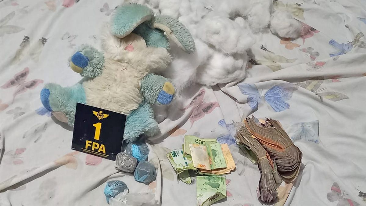 El conejo de peluche en el que el dealer escondía droga y dinero recabado en la venta.