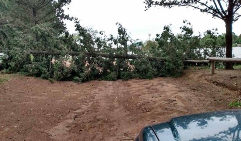 Varias localidades afectadas por el fuerte viento