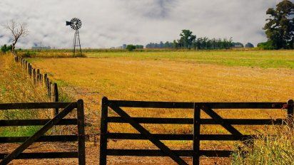 Con la gruesa a la vista, el alquiler llega a su máximo valor en 10 años