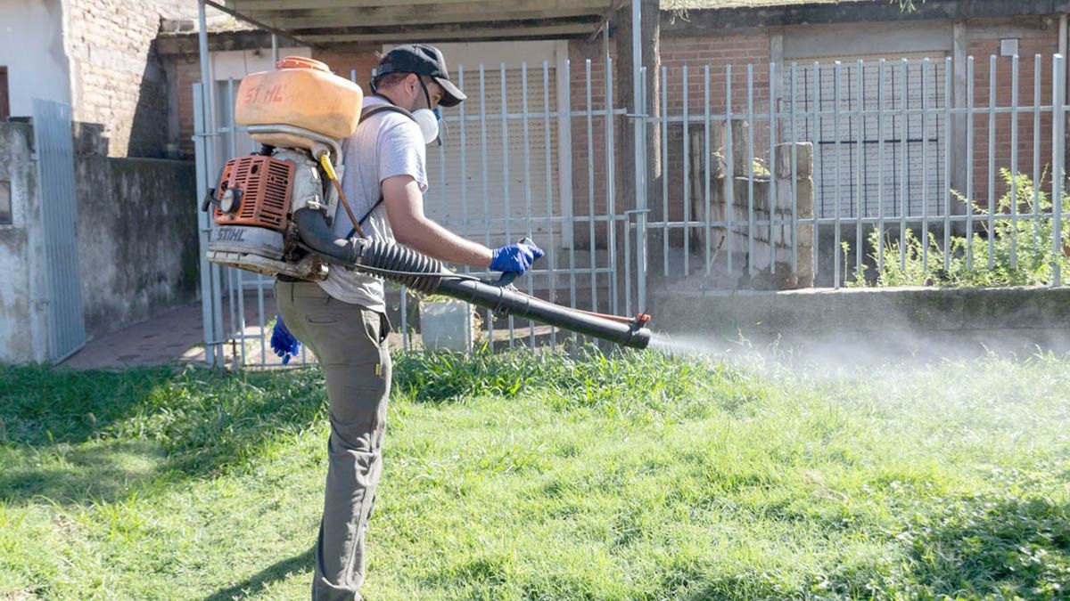 El Municipio refuerza la fumigación para atacar la presencia de mosquitos