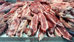 el gobierno califico como operacion a la supuesta venta de carne de burro