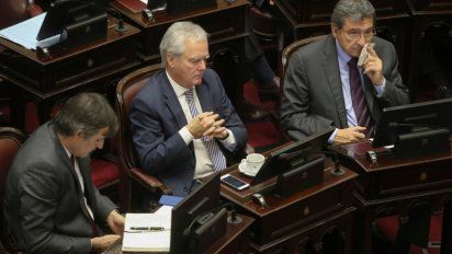 Pinedo consideró que el proyecto de ley de aborto será modificado