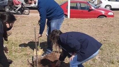 Plantaron árboles en homenaje a docentes en Sampacho