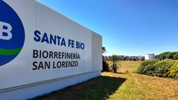 La planta en Santa Fe, sobre la hidrovía, donde se construirá la infraestructura necesaria para la producción del biocombustible.