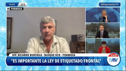 Diputados destacaron el consenso para la aprobación de leyes como la de Alivio Fiscal