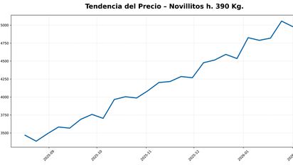 Los precios de la hacienda siguen en alza ante una oferta recortada