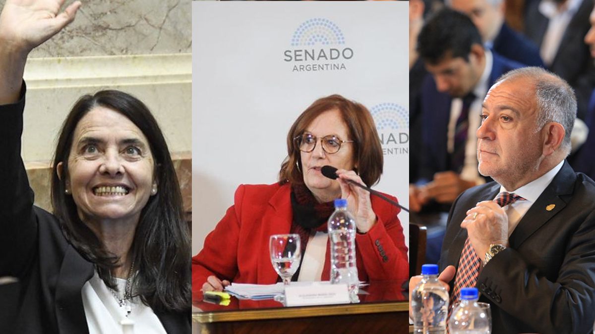 Carmen Silvia Álvarez Rivero(PRO) , Luis Alfredo Juez (PRO) y Alejandra María Vigo (Unidad Federal).