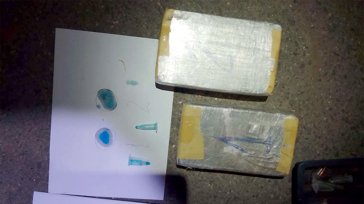 La mujer detenida en Realicó trasladaba dos ladrillos de cocaína.