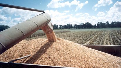 Las exportaciones del agro crecerían 56% en 2024: oxígeno para el próximo gobierno