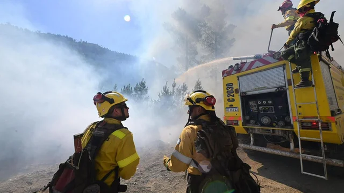 Drama en la Patagonia: el fuego ya afectó 45 mil hectáreas y hay cuatro ...