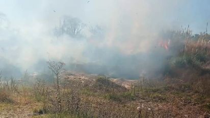 Un nuevo incendio intencional quemó 7 hectáreas de la Reserva Chocancharava