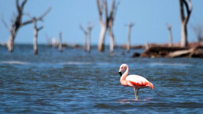Córdoba elevó el último informe para que Ansenuza sea Parque Nacional