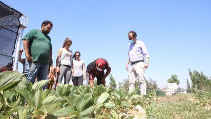 La Huerta Sustentable celebró su 5º aniversario de producción